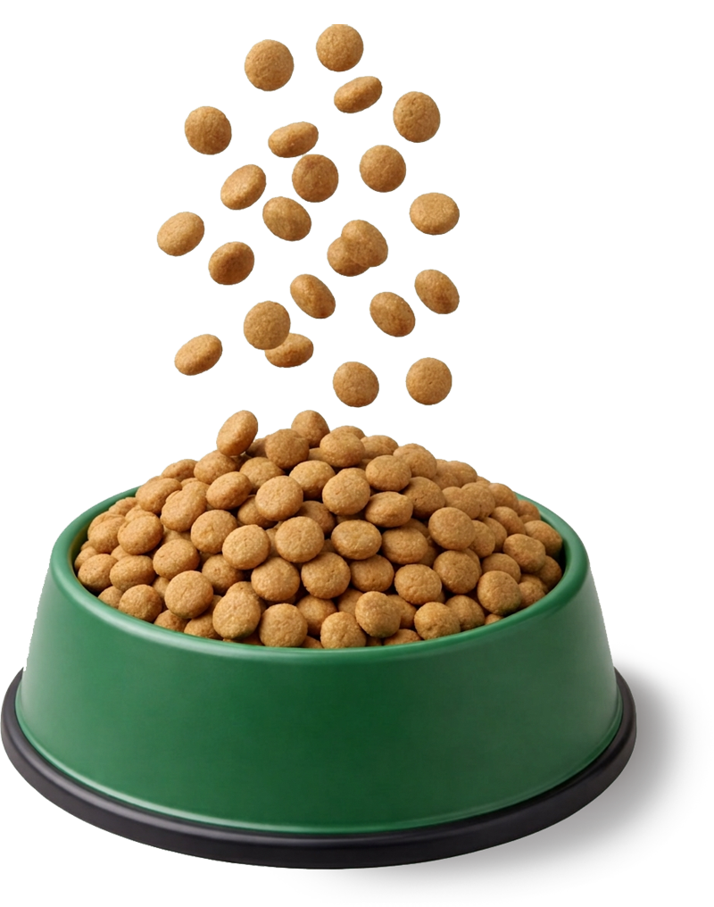 Willow Hypoallergenic adult food in a green bowl