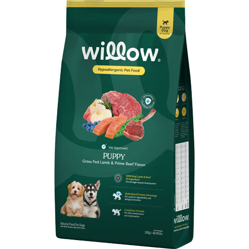 Willow for puppies